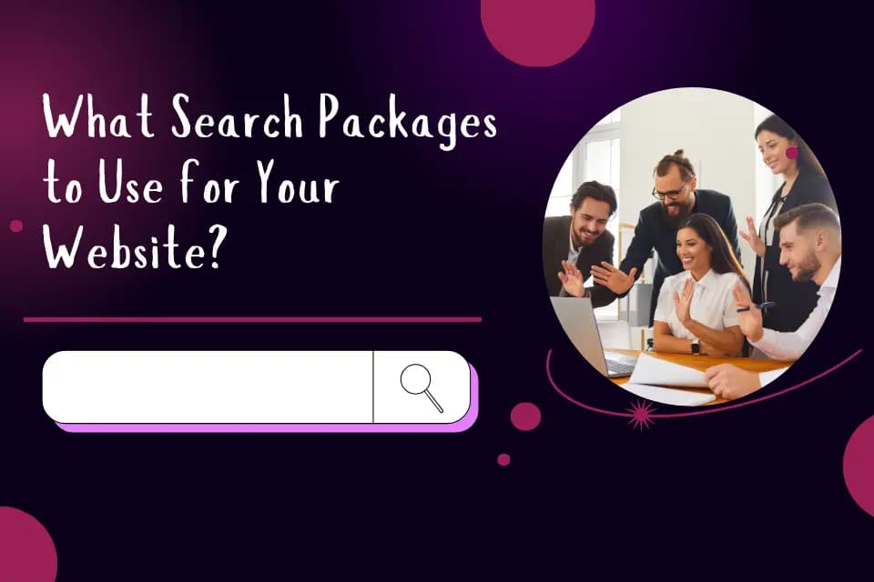 search packages to use in websites